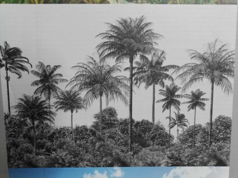 Fototapeta XXL 360x255 cm OKAZJA