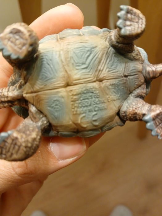 Tartaruga bebé Schleich