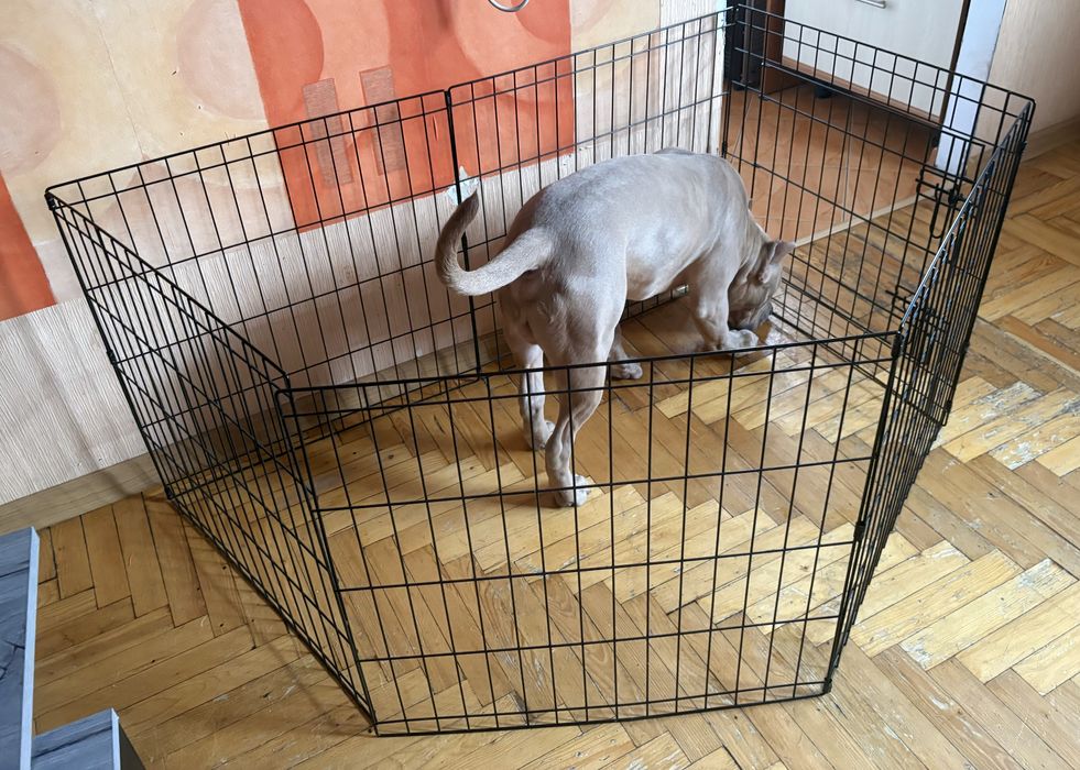 Манеж клітка для собаки волʼєр для дому