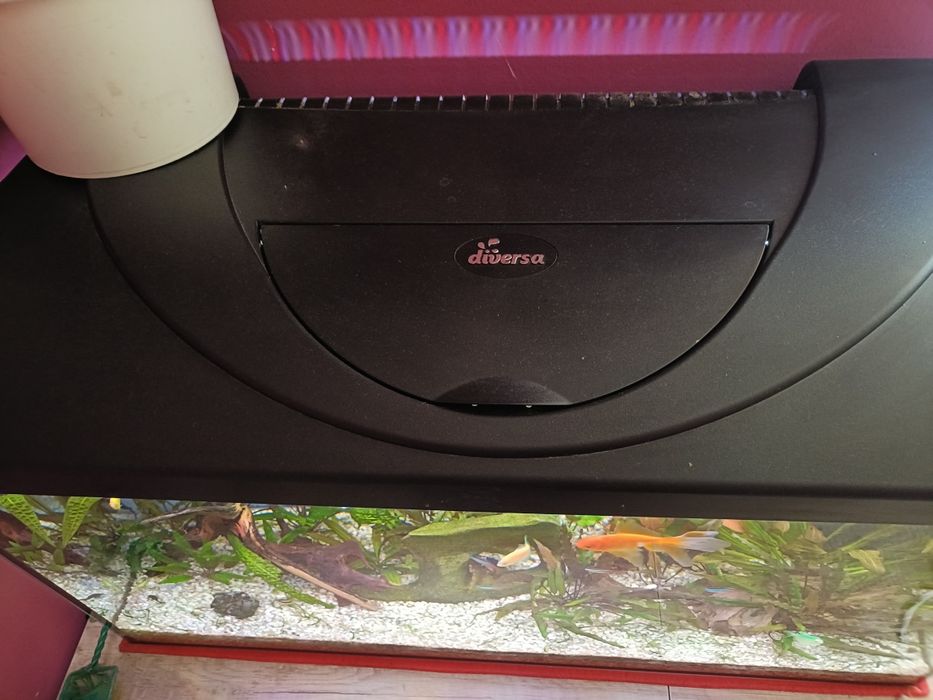 Akwarium 112 L Diversa