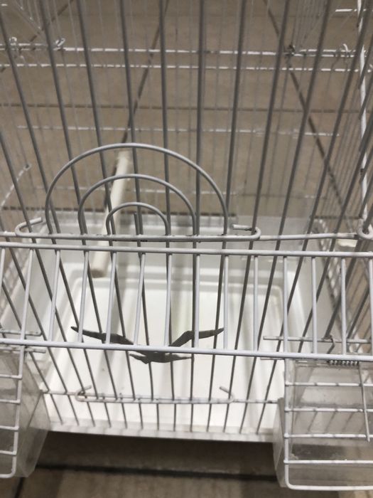 Gaiola para pássaros