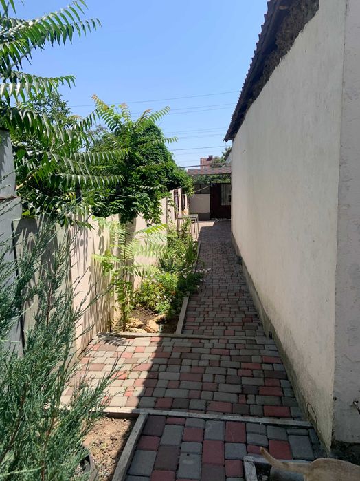 Сдам комфортный и благоустроенный домик в Александровке