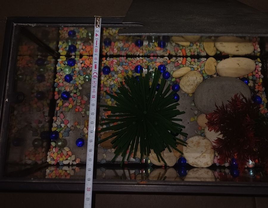 Aquário de Peixes