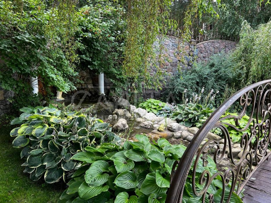 Оренда будинку,  Проців