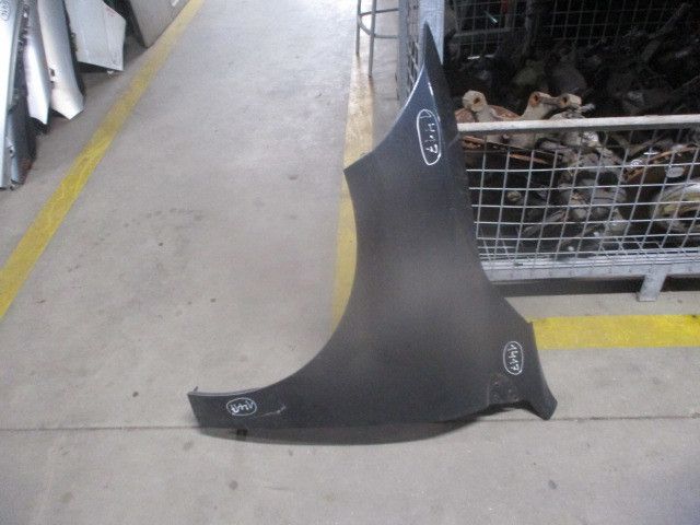 Guarda-lamas esquerdo RENAULT Megane III (BZ0_)