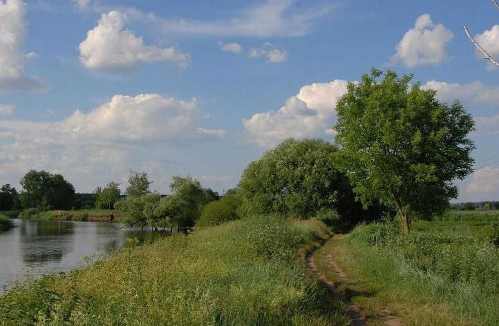 6 соток 690$/сот. електр. с.Лука, 17 км від Києва, р. Ірпень, розтроч.