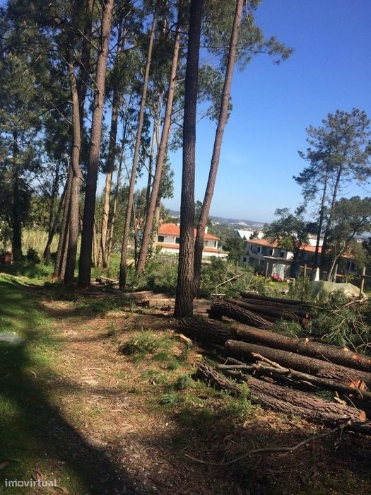 Terreno Marrazes / Leiria