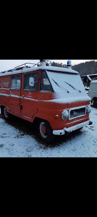 Piękny Żuk (smutek) Super Okaz.