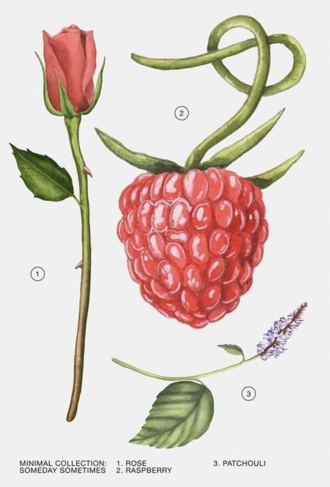 Туалетна вода ZARA Someday Sometimes 100 ml