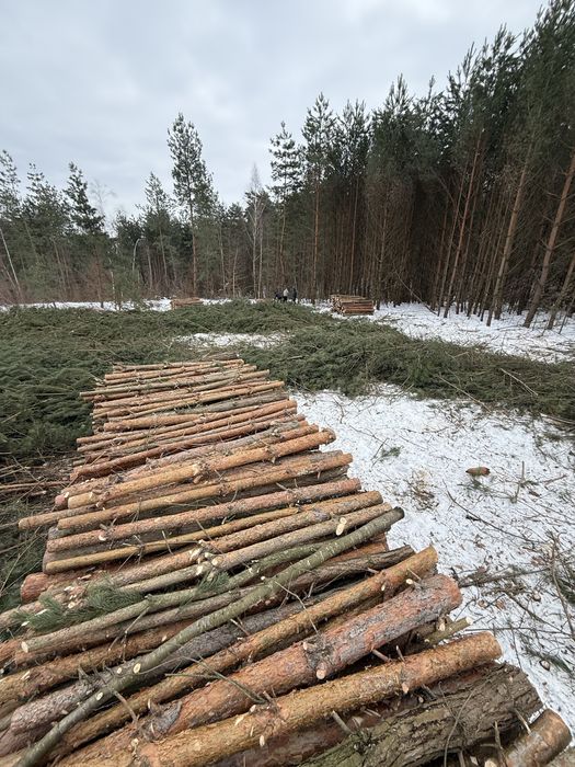 Дрова тверді та мякі породи рубані та колодах