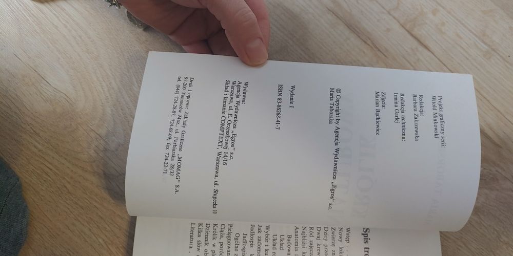 Krolik miniaturowy Maria Taborska