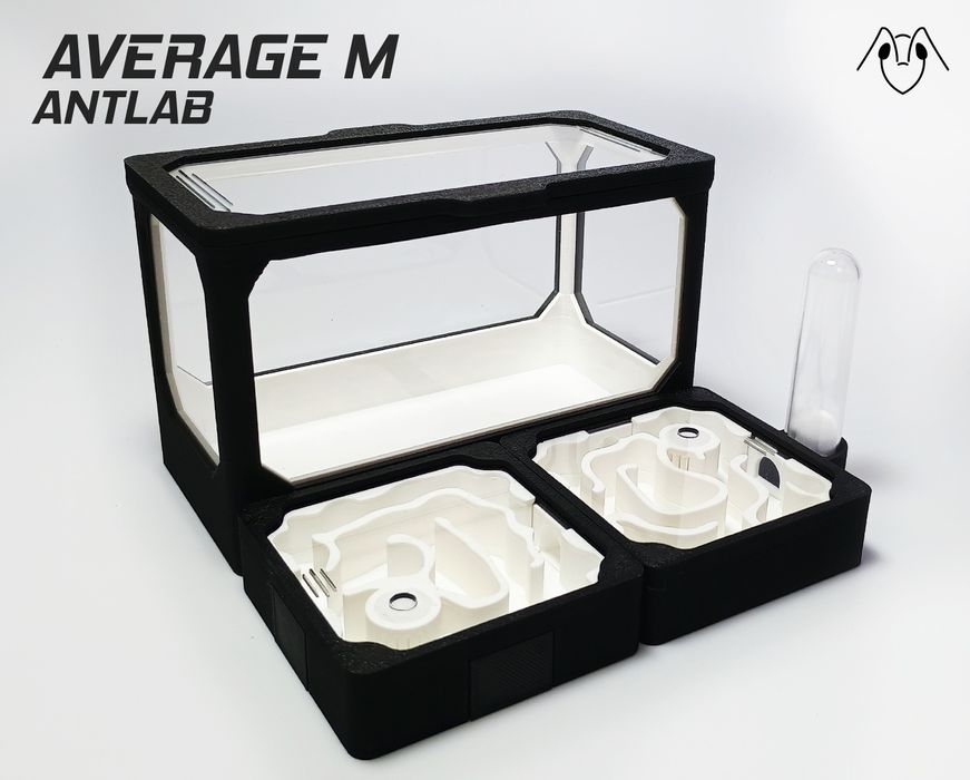 Formikarium AVERAGE M - Modułowe Terrarium Dla Mrówek 140x140