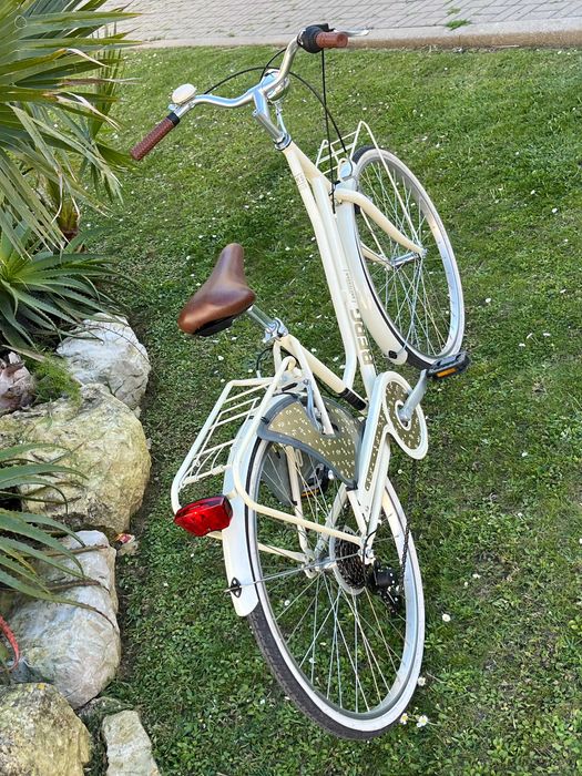 Bicicleta pasteleira moderna feminina