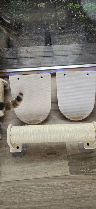 Cama ginasio para gatos