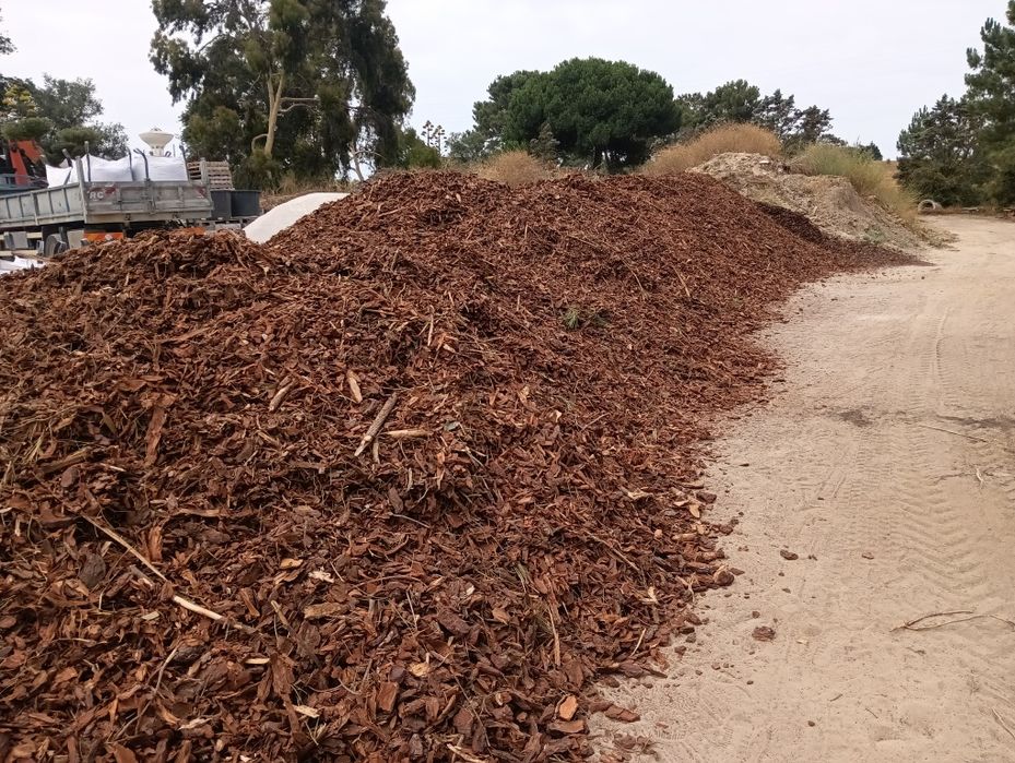 Casca de Pinheiro Não crivada, 63€ IVA inc
Para ornamentar espaços ver