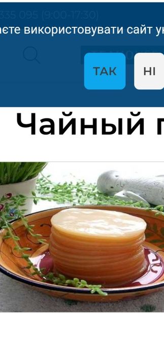 Чайный гриб комбуча