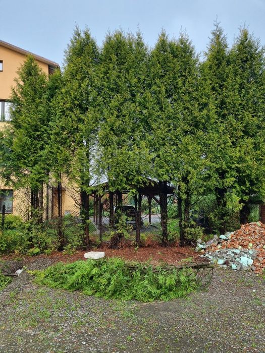 Pielęgnacja ogrodów, koszenie, przycinanie drzewka, koszenie.
