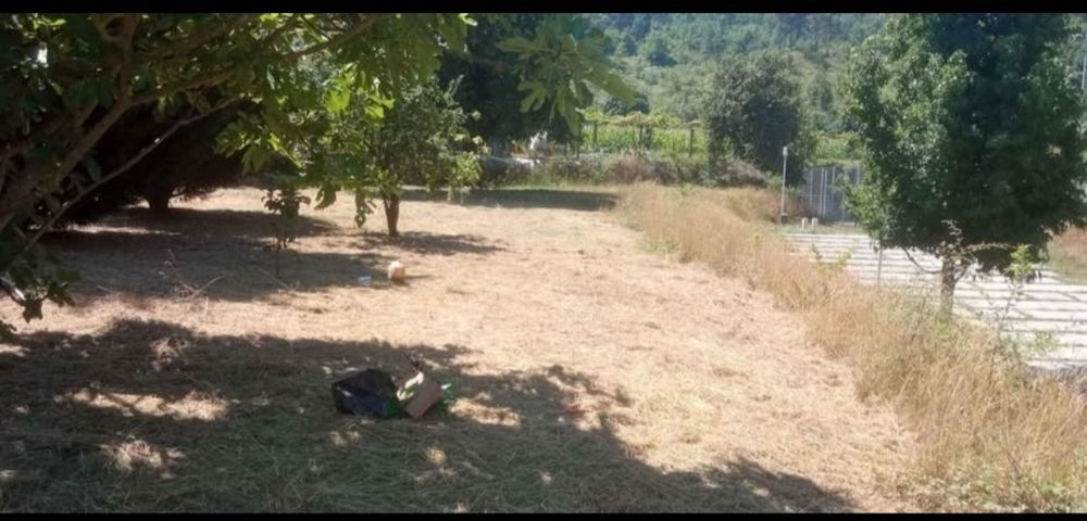 Limpezas de  terrenos.