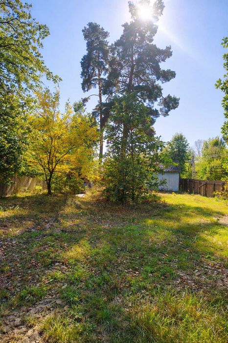 Пірнове Вишгородський р-н, 12.5 соток