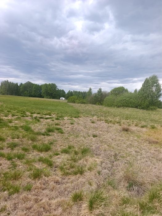 Sprzedam działkę budowlaną 800 m² - Widok 2
