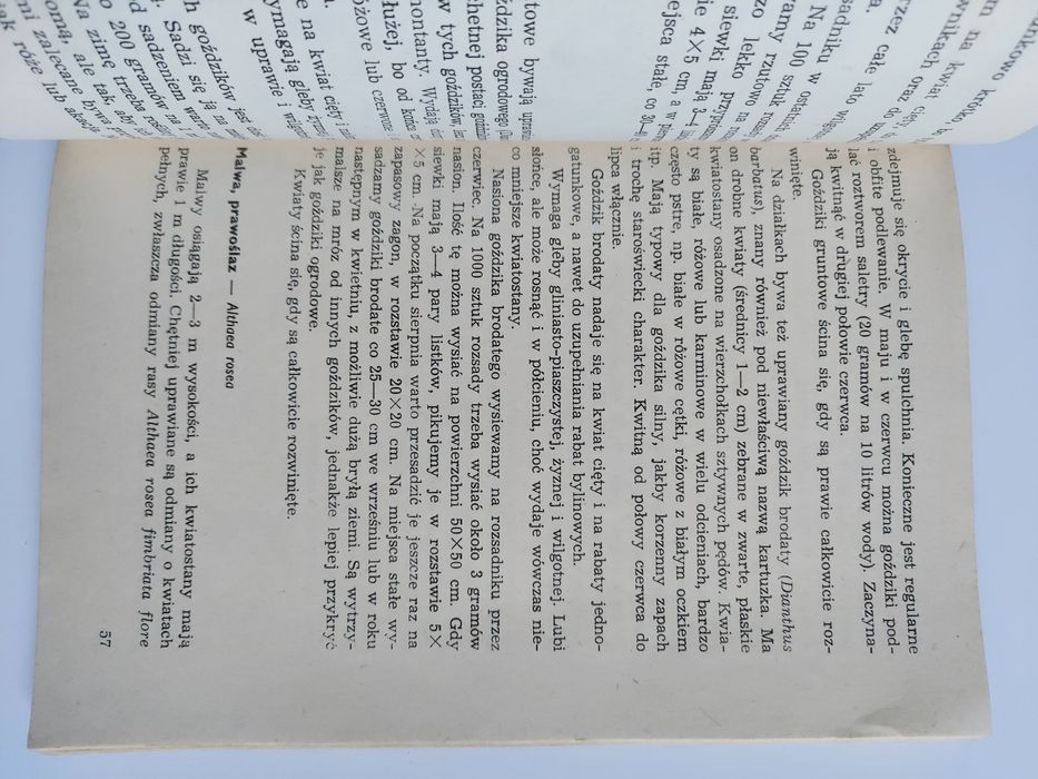 Uprawa roślin ozdobnych w POD - Izabela Kiljańska