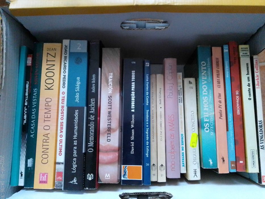 Livros VENDIDOS EM SEPARADO - Vários Preços Lotes 33+40+46+47