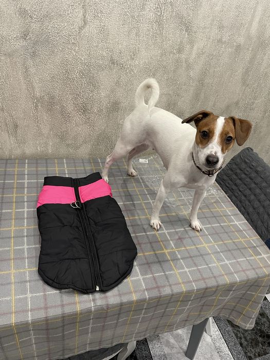 Курточка на собаку 3XL нова