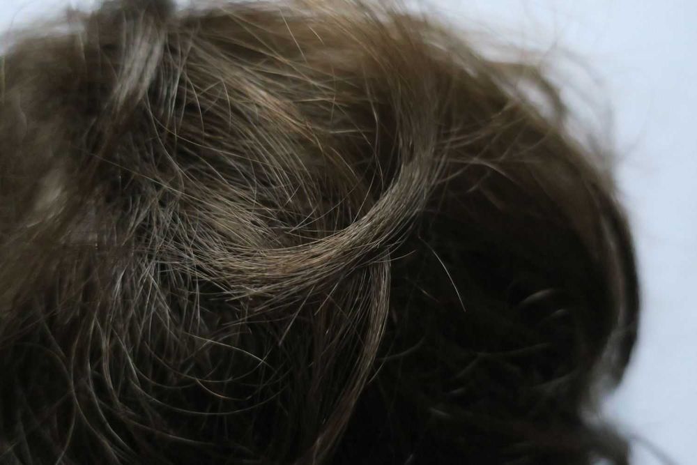 Nowa peruka Louis Ferre profesjonalna peruka