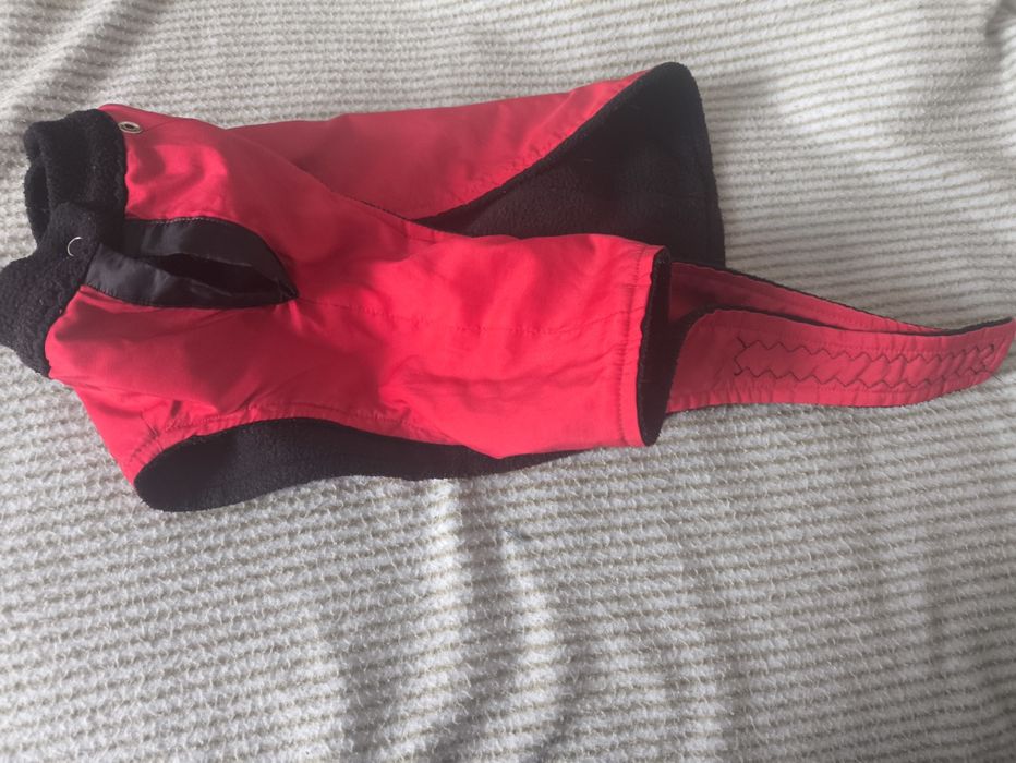 Ubranko dla psa czerwone