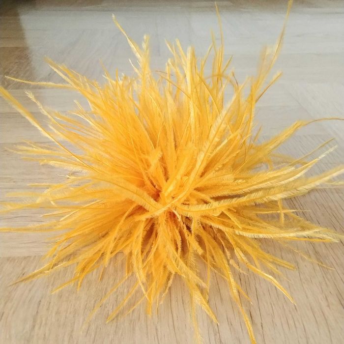 Broszka Marabut pióra kolor miodowy.