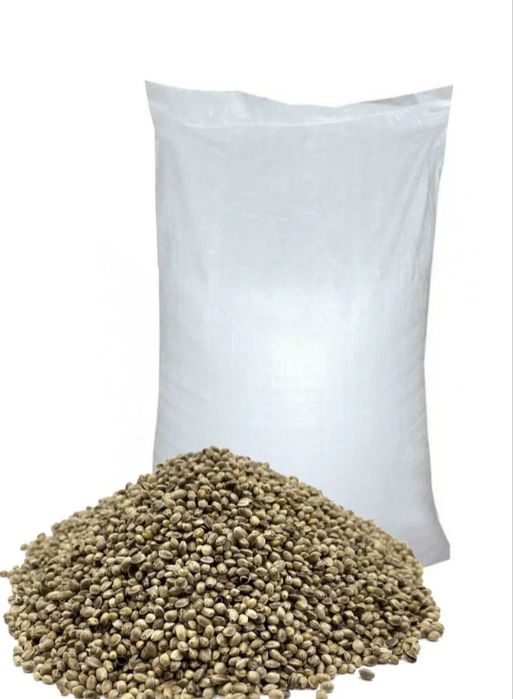 Тигровий горіх Іспанія.Зерна для рибалки .Свіжі.25рік.