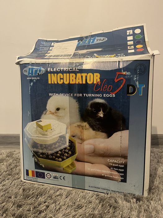 Inkubator cleo 5