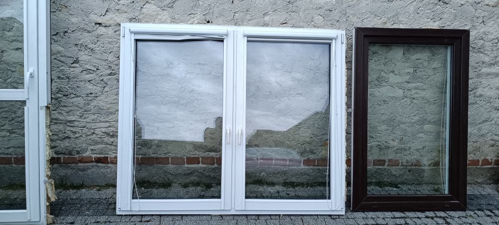 Okno - dąb bagienny