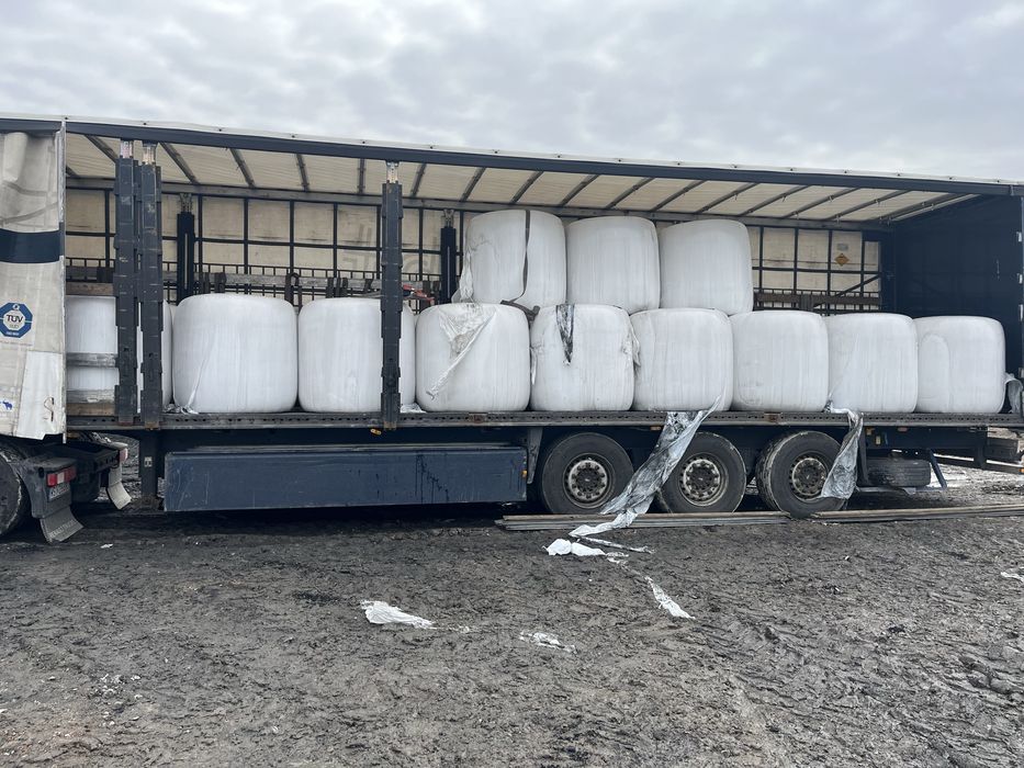 Kiszonka z kukurydzy w belach