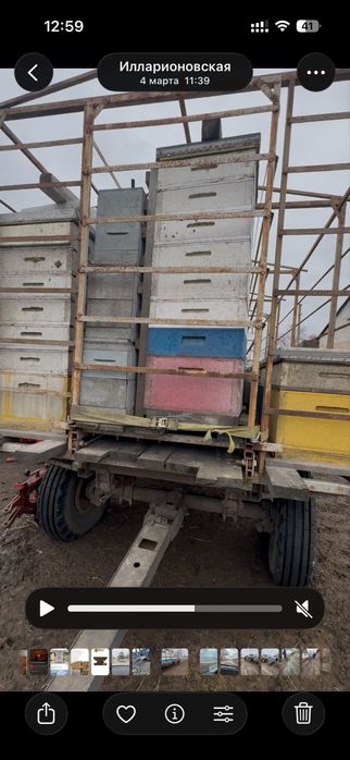 Бджоловіз. Пчелопавильйон. Прицеп для перевозки пчёл.