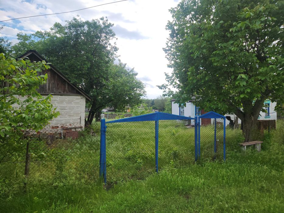 Будинок в селі Андріївка