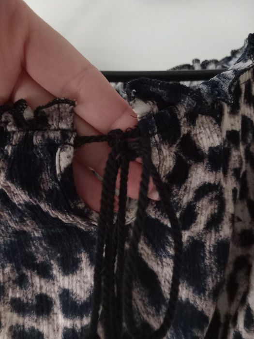 Top topik panterka wiązany