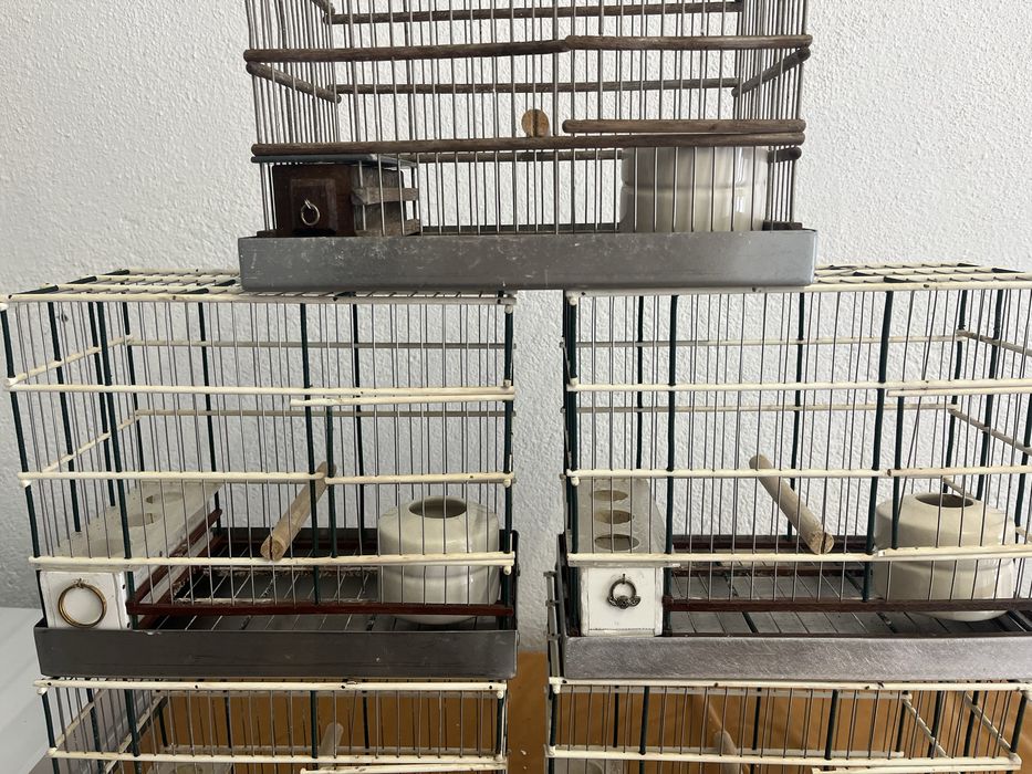 Gaiolas para passaros