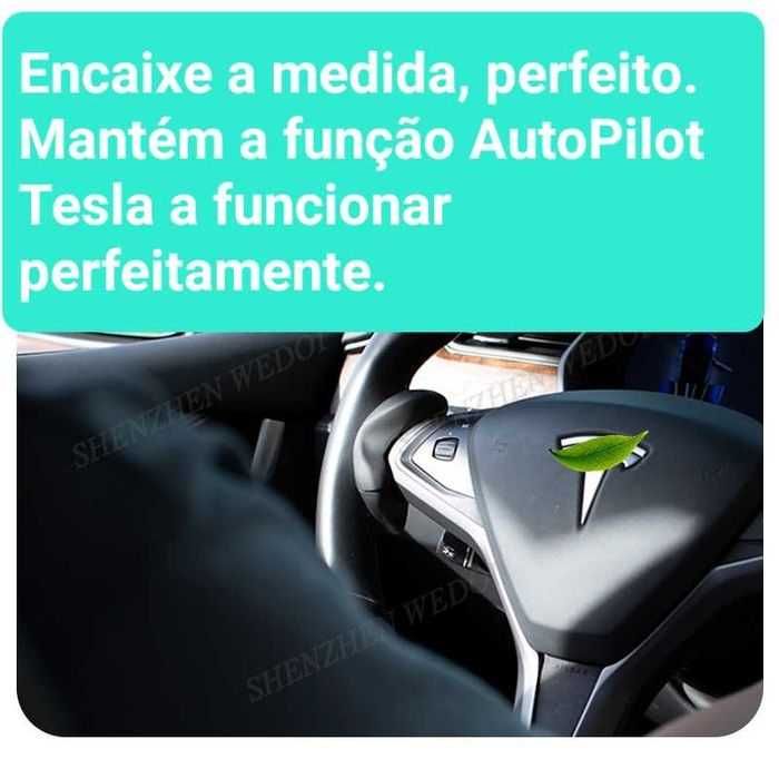Tesla AutoPilot activador