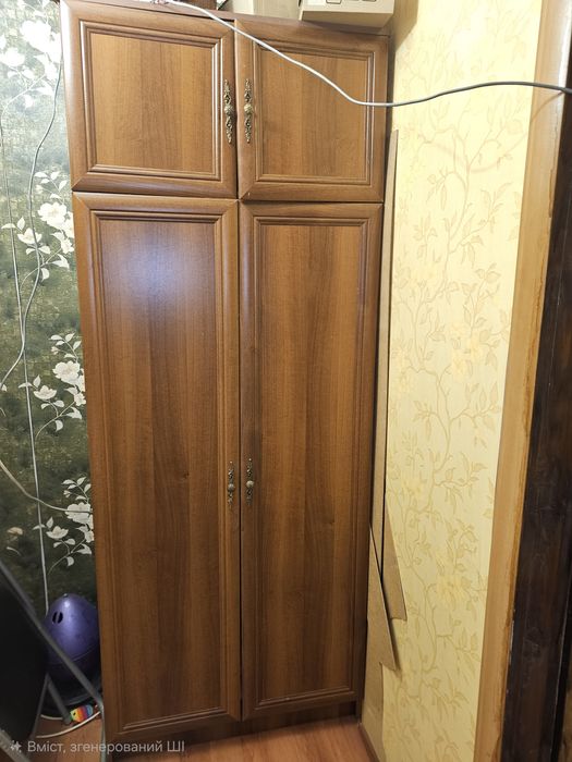 Містка шафа прихожа коридор