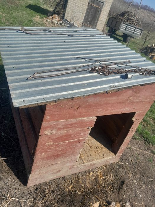 Duża buda dla pieska