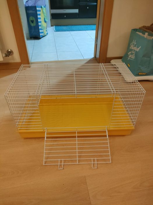 Porquinho da Índia e gaiola