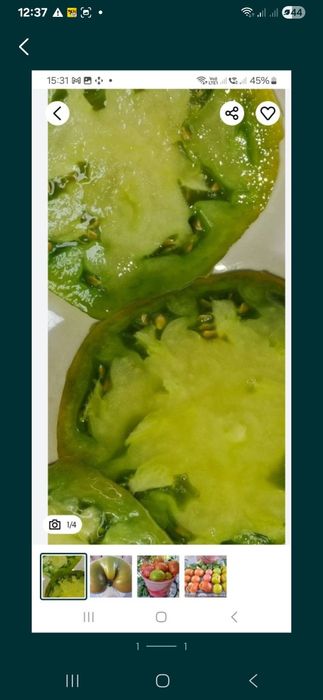 Насіння  помідора ківі 100 відсотків ківі !