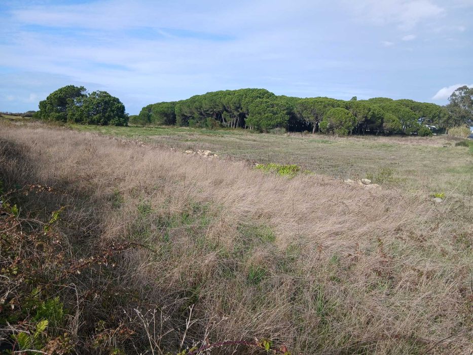 Terreno Industrial – 14.000 m² – Terrugem, Sintra
