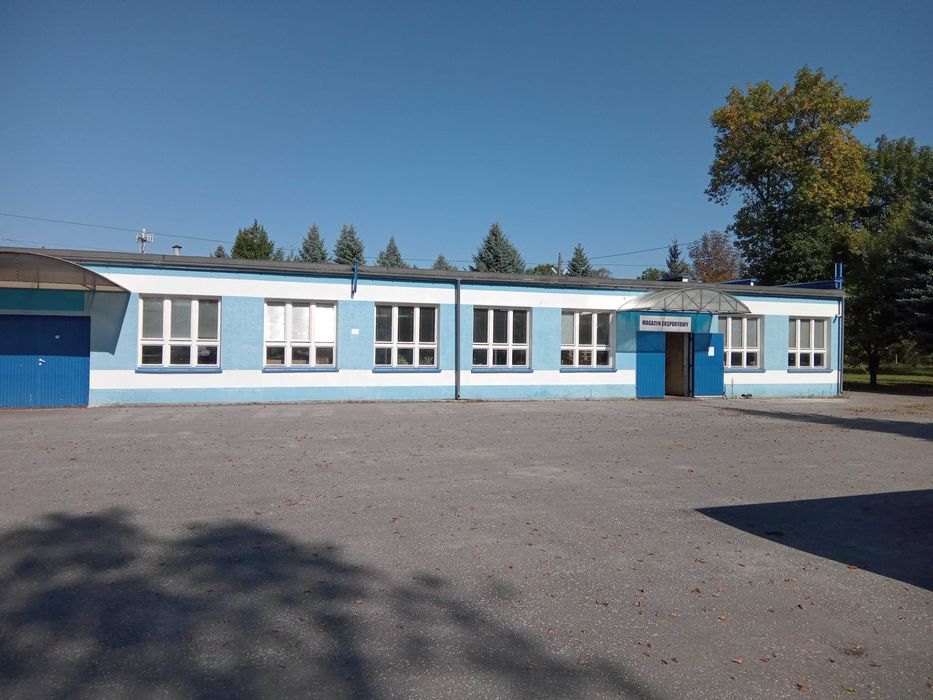 Wynajem powierzchni magazynowo-produkcyjnej 16368m2 - Skopanie