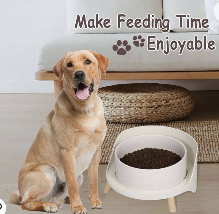 Ceramiczna miska dla psa