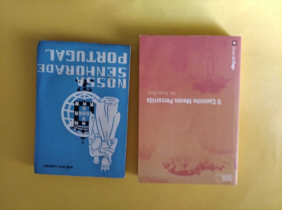 Livros de autoajuda (Mudar de vida; o caminho menos percorrido, etc)