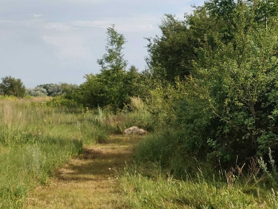 ДІЛЯНКА від ОЛЕКСАНДРА! 21 сотка в с. Метків, особ. селянське гос -тво