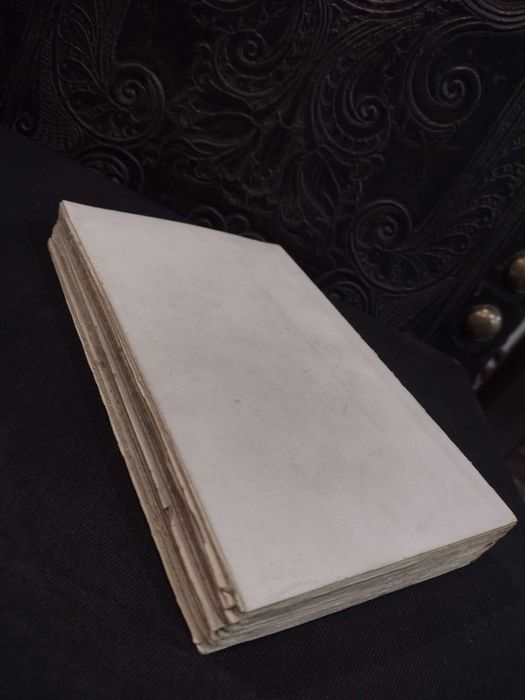 As Memória do Chefe da Policia Pereira dos Santos