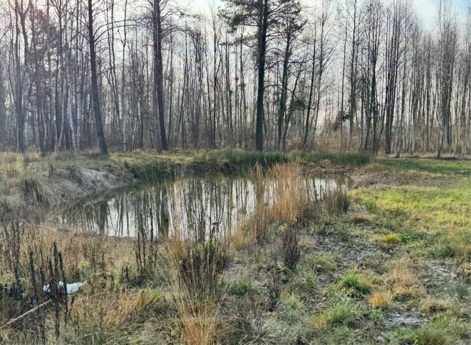 Будинок в лісі близ Київа.